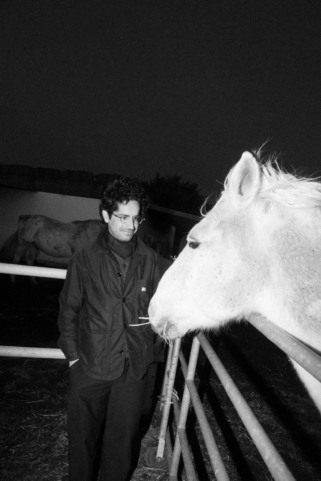 A Lighter meeting a white horse at the fence after dark